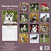 Siberian Husky Calendar